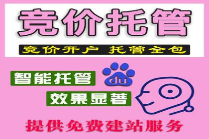 SEM代运营成功案例：如何实现流量翻倍增长